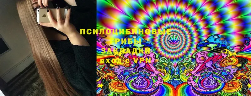 Галлюциногенные грибы Psilocybine cubensis  купить наркотик  ссылка на мегу сайт  Осташков 